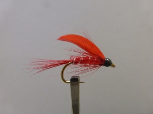 Size 10 Cardinal Wet